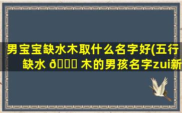 男宝宝缺水木取什么名字好(五行缺水 🐝 木的男孩名字zui
新)